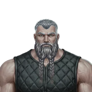 Champion face — grey side-shaved hair and a grey beard
