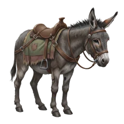 Donkey